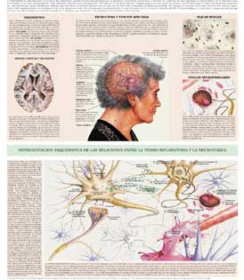 Medicine Acupuncture Herbal Treatment Cure Alzheimer Kuala Lumpur Herbs Medical Treatment Cure Centre